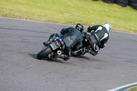 PJ-Motorsport-2019;anglesey-no-limits-trackday;anglesey-photographs;anglesey-trackday-photographs;enduro-digital-images;event-digital-images;eventdigitalimages;no-limits-trackdays;peter-wileman-photography;racing-digital-images;trac-mon;trackday-digital-images;trackday-photos;ty-croes